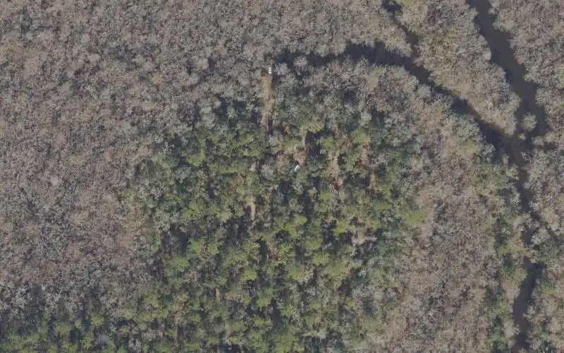 Aerial photo of the area around Apalachicola National Forest - Hitchcock Lake Boat Ramp, Liberty County