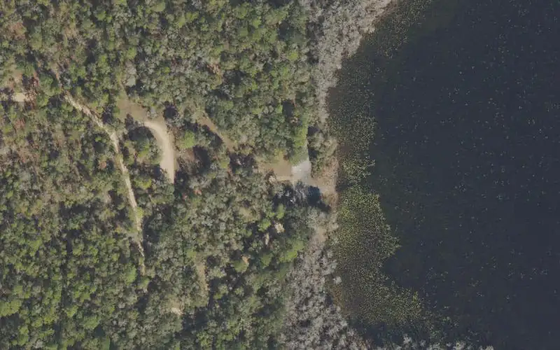 Aerial photo of the area around Apalachicola National Forest - Moore Lake Canoe and Kayak Launch Beach, Leon County