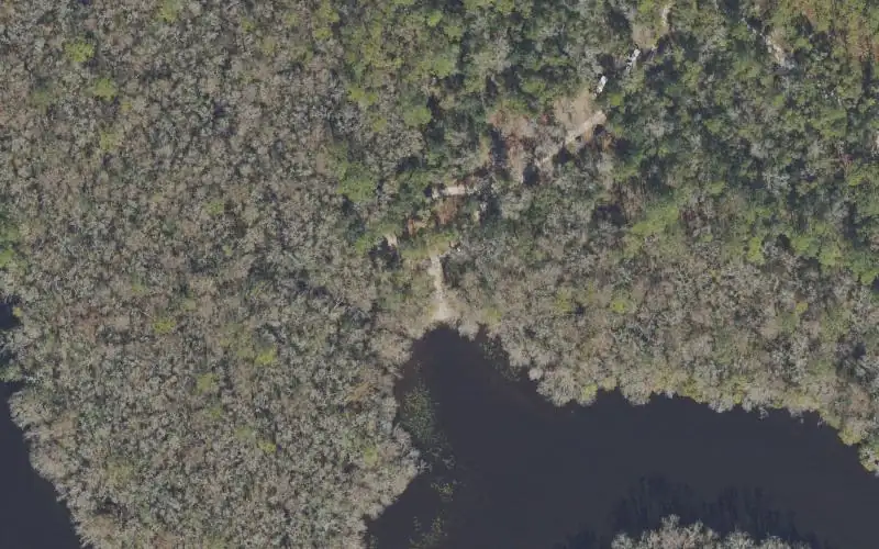 Aerial photo of the area around Apalachicola National Forest - Wood Lake Boat Ramp, Wakulla County