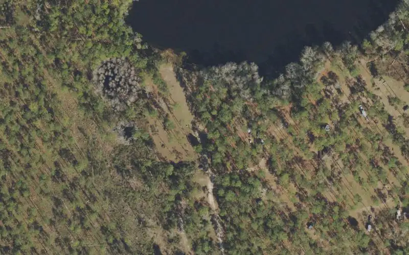 Aerial photo of the area around Apalachicola National Forest - Wright Lake Recreation Area Canoe Access, Franklin County