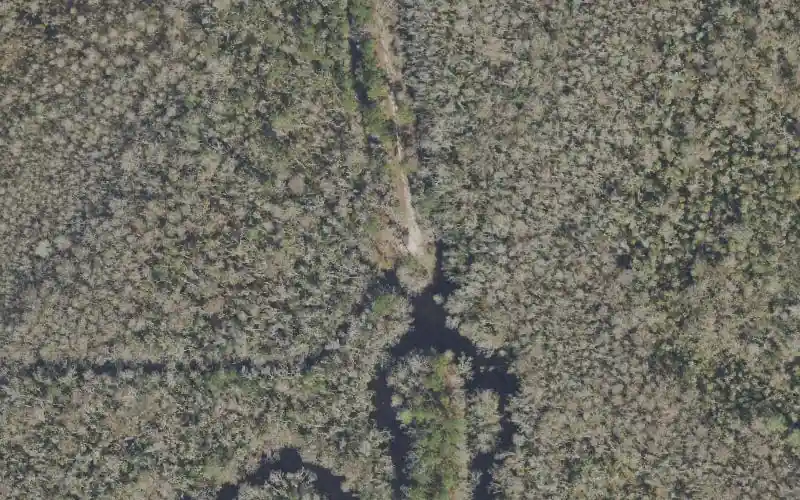 Aerial photo of the area around Apalachicola River Wildlife and Environmental Area - Saul's Creek Canoe Launch, Gulf County