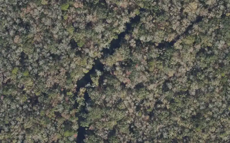 Aerial photo of the area around Aucilla River Mile 08.3 - Half Mile Rise Primitive Boat Launch, Taylor County