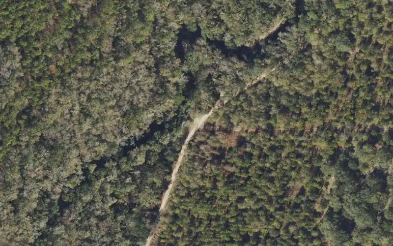 Aerial photo of the area around Aucilla River Mile 12.2 - River Sink Canoe Takeout - Cabbage Grove Tract, Taylor County