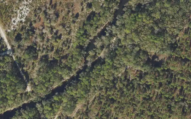 Aerial photo of the area around Aucilla River Mile 14.4 - Walker Bridge Road - Primitive Canoe Access - Cabbage Grove Tract, Taylor County