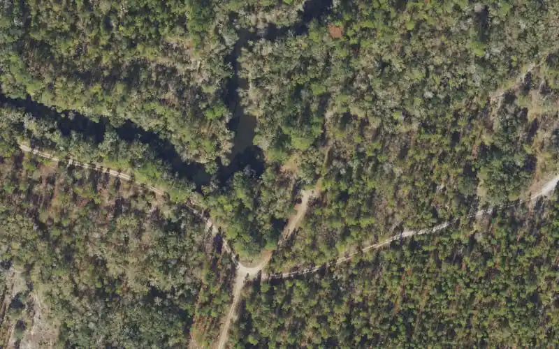 Aerial photo of the area around Aucilla River Mile 16.8 - Primitive Canoe Access - Cabbage Grove Tract North, Taylor County