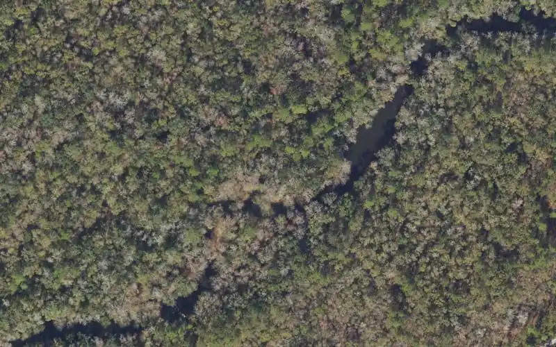 Aerial photo of the area around Aucilla River Mile 18.6 - Primitive Canoe Access - Jone's Mill Creek Tract North, Jefferson County