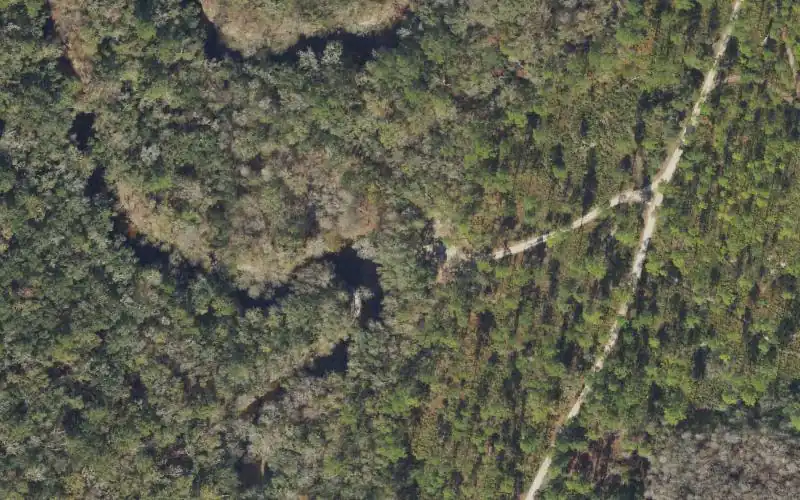 Aerial photo of the area around Aucilla River Mile 24.4 - Reams Landing Boat Ramp - Mt. Gilead Tract, Taylor County