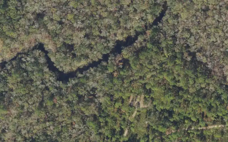 Aerial photo of the area around Aucilla River Mile 25.2 - Reems Landing Canoe Access - Mt. Gilead Tract, Taylor County