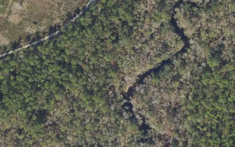 Aerial photo of the area around Aucilla River Mile 27.2 - Rock Dam Canoe Access - Lamont Tract, Jefferson County