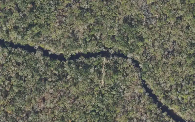 Aerial photo of the area around Aucilla River Mile 27.8 - Primitive Boat Access - Mt. Gilead Tract, Madison County