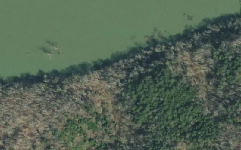 Aerial photo of the area around Beech Grove (Winter Access Only), Grainger County