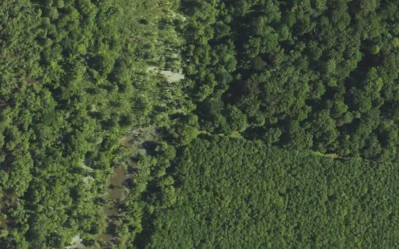 Aerial photo of the area around Black Wolf Swamp Ramp, Ballard County