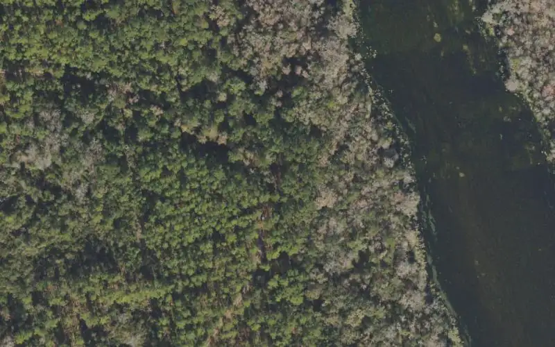 Aerial photo of the area around Calico Landing - Hand Launch Only - Aucilla Wildlife Management Area, Jefferson County