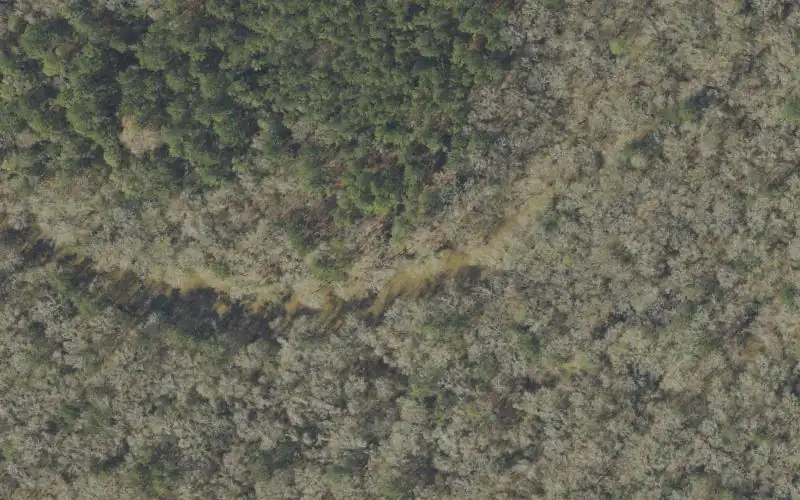 Aerial photo of the area around Cow Lake Landing Public Boat Ramp, Walton County
