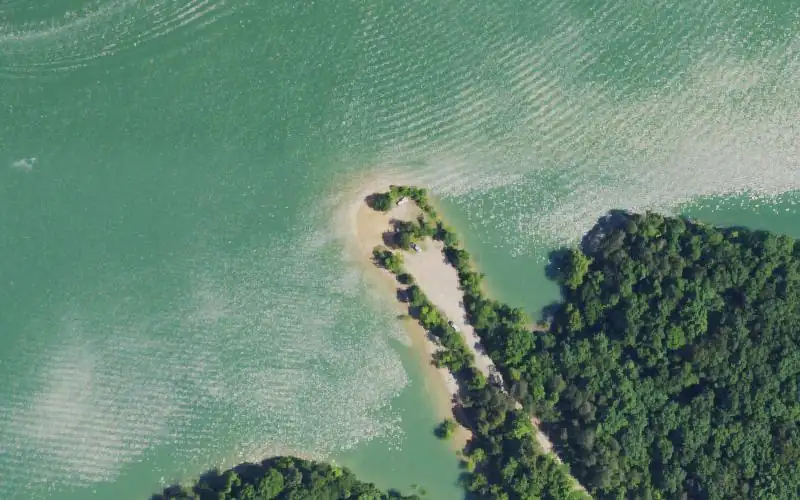 Aerial photo of the area around Dudley Creek (Campers Point), Russell County