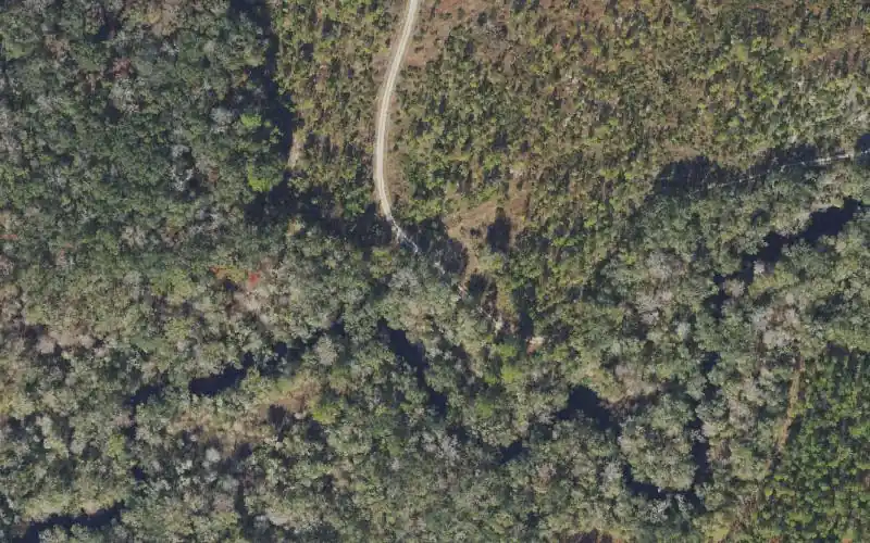 Aerial photo of the area around Econfina River Mile 11.2 - Canoe Access - Loughridge Road North, Taylor County