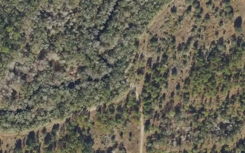 Aerial photo of the area around Econfina River Mile 13.6 - Canoe Access - South of Cabbage Grove Bridge, Taylor County
