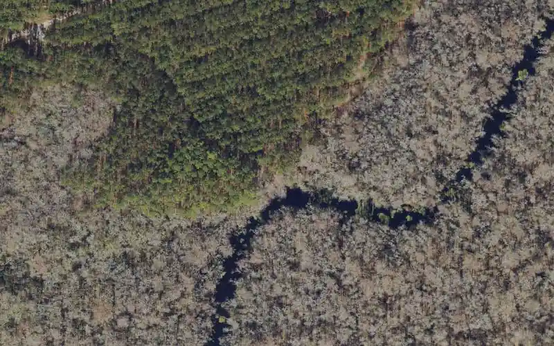 Aerial photo of the area around Four Creeks State Forest - Thomas Creek Canoe Access, Duval County