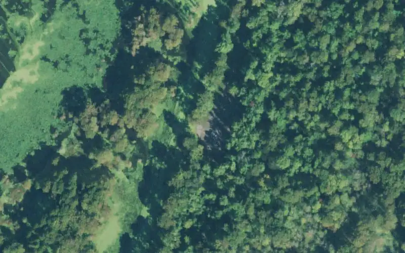 Aerial photo of the area around Grassy Island, Obion County