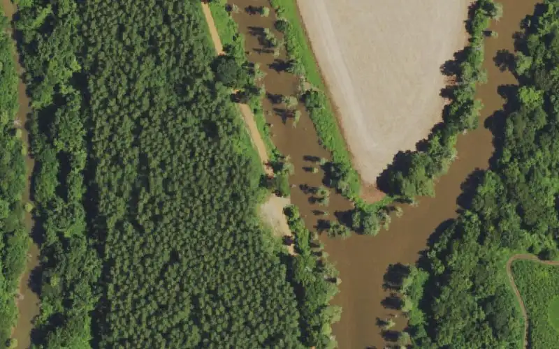 Aerial photo of the area around Indian Camp Lake, Carlisle County