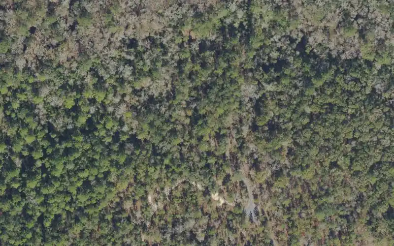 Aerial photo of the area around Jennings State Forest - Powell Ford Paddling Access, Clay County