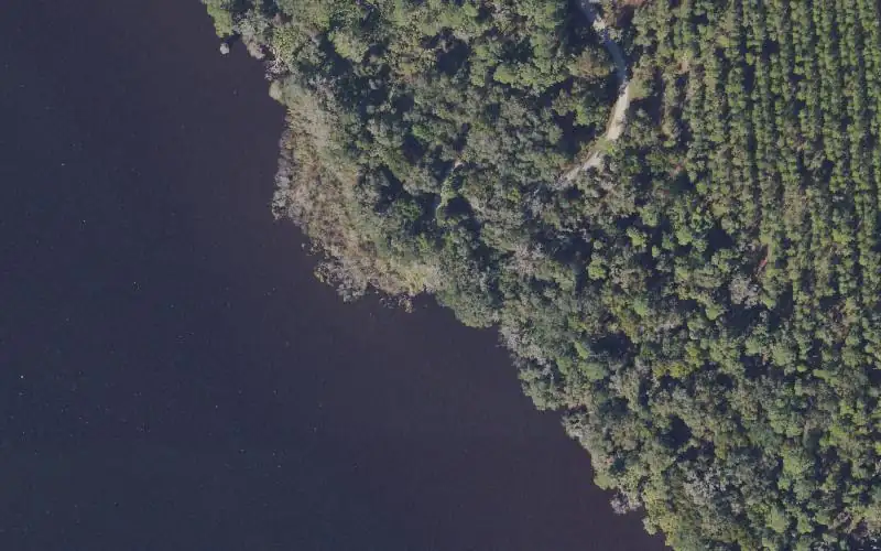 Aerial photo of the area around Lake George Park - Nine Mile Boat Ramp (Small Boats), Volusia County