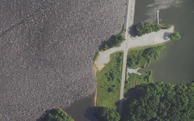 Aerial photo of the area around LBL - Energy Lake Ramp, Trigg County