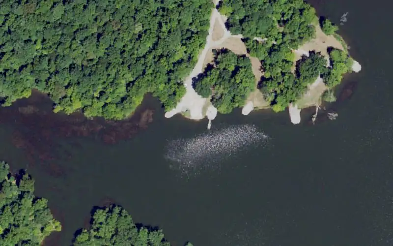 Aerial photo of the area around Mauzy Lake Boat Ramp, Union County