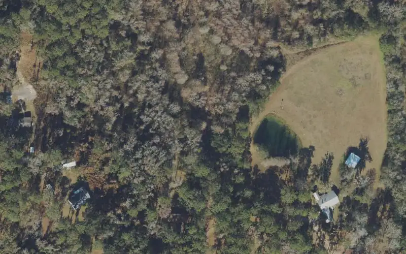 Aerial photo of the area around Meginnis Arm Canoe Landing, Leon County