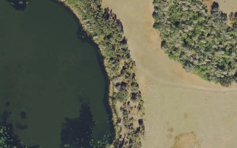Aerial photo of the area around Mosaic Fish Management Area - SP 12 South Primitive Ramp (SPECIAL RESTRICTIONS APPLY), Polk County