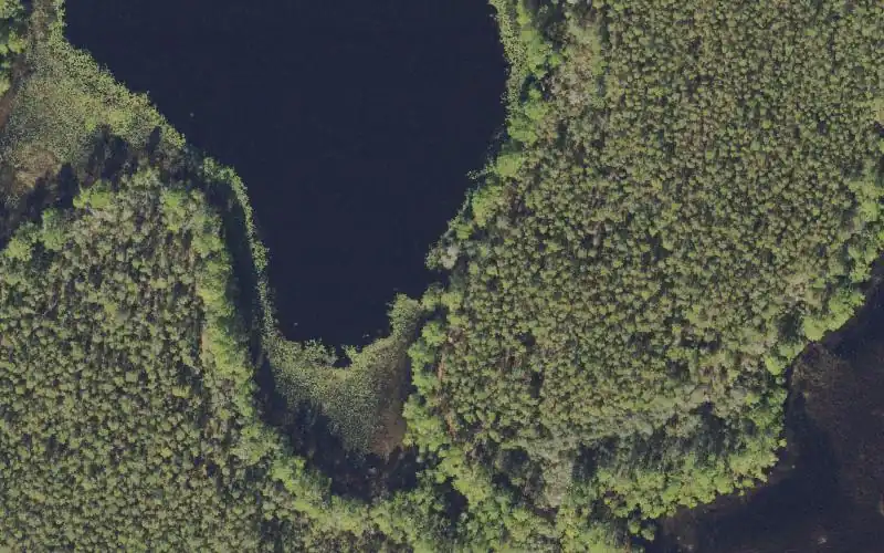 Aerial photo of the area around Ocala National Forest - Crooked Lake Primitive Access (4x4 Only), Lake County