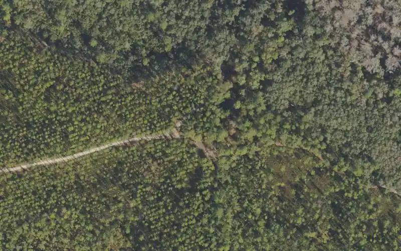 Aerial photo of the area around Ocala National Forest - Davenport Landing Primitive Campsite - Canoe Access, Lake County