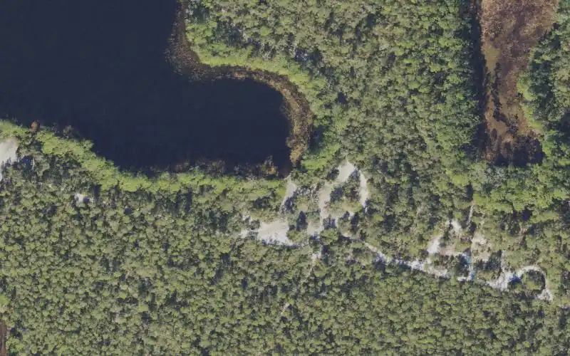 Aerial photo of the area around Ocala National Forest - Grasshopper Pond Primitive Access Southeast (4x4 Only), Lake County