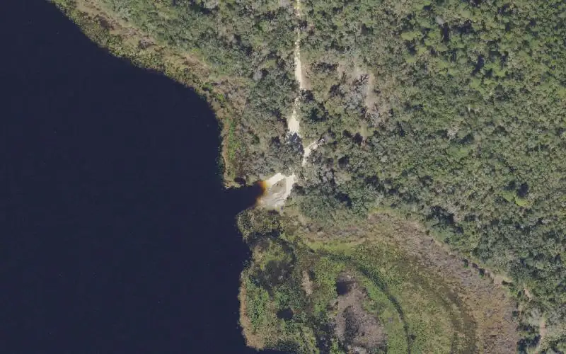Aerial photo of the area around Ocala National Forest - Halfmoon Lake, Marion County
