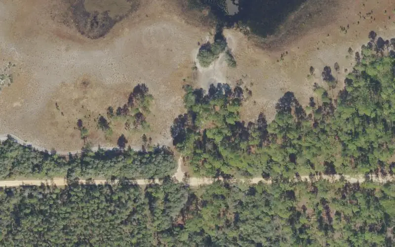 Aerial photo of the area around Ocala National Forest - Hopkins Prairie Primitive Boat Ramp, Marion County