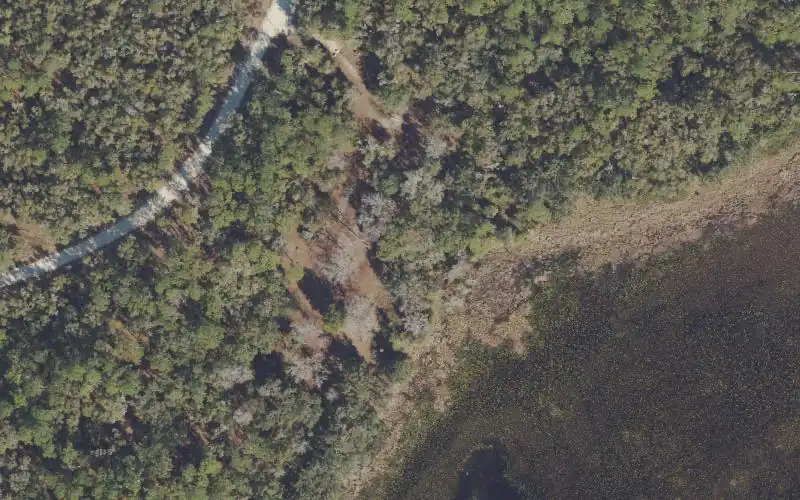 Aerial photo of the area around Ocala National Forest - Lake Delancy Campground Canoe Access, Marion County