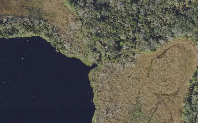 Aerial photo of the area around Ocala National Forest - Lake Lou Primitive Access , Marion County