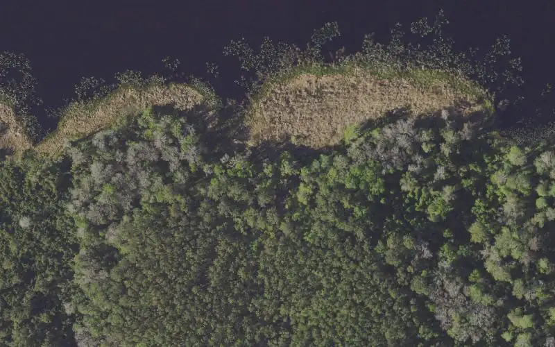 Aerial photo of the area around Redwater Lake Undeveloped Access, Marion County