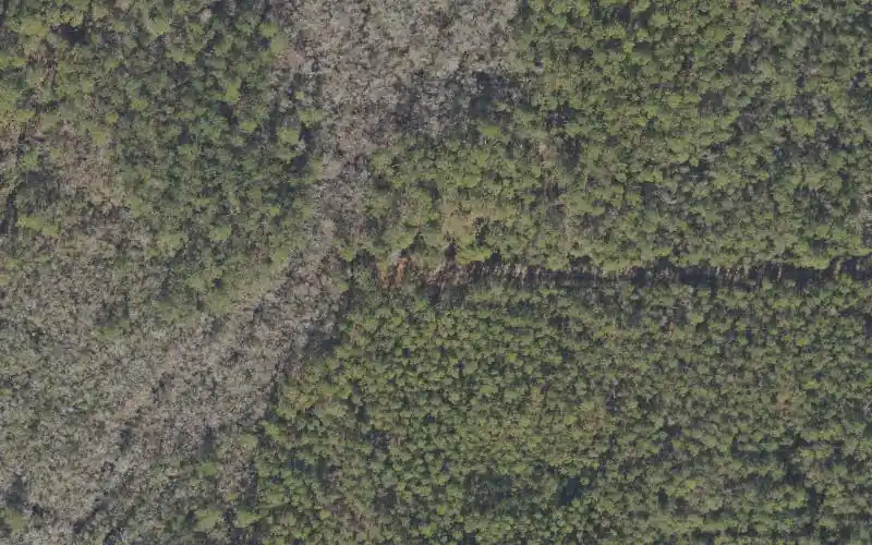 Aerial photo of the area around Tate's Hell State Forest - Boundary Road Camp Canoe Access, Liberty County