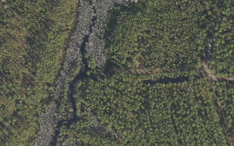 Aerial photo of the area around Tate's Hell State Forest - Deep Creek Camp Canoe Access, Franklin County